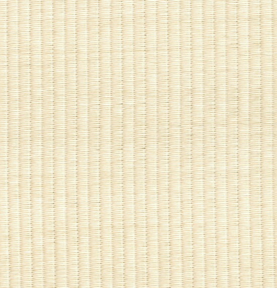 SEIRYU_NO.10