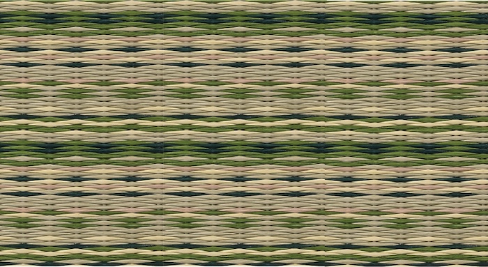 EARTH_COLOR_BAMBOO