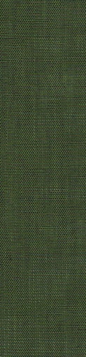 C-54_COTTON