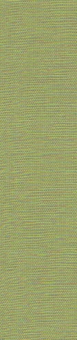 C-55_COTTON