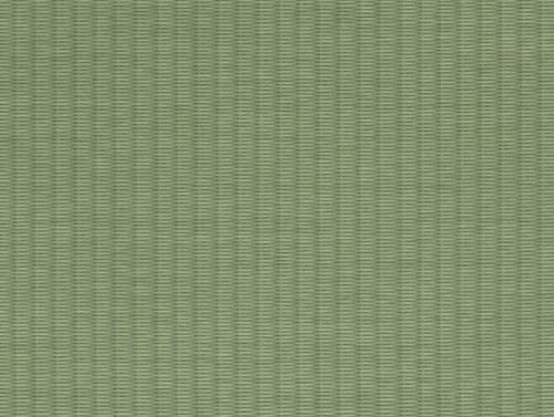 選んだ色 目積 グリーン
